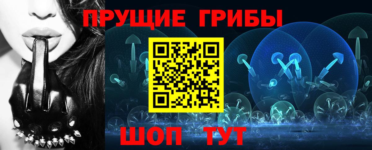 Псилоцибиновые грибы мухоморы  где купить наркотик  Вологда  Вход с VPN 