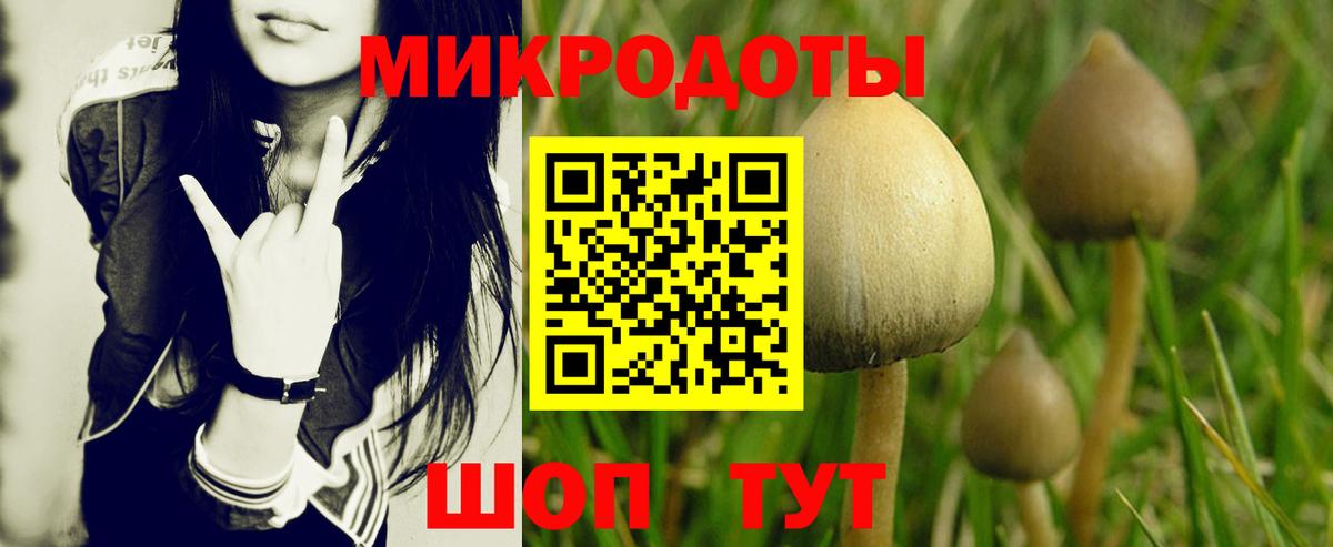 Галлюциногенные грибы прущие грибы Вологда